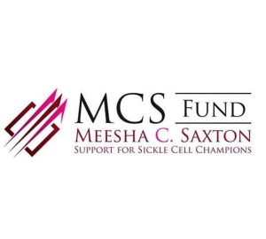 logo_mcs_fund